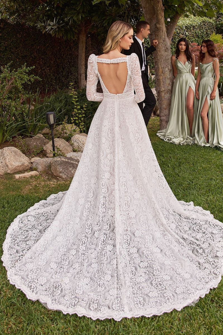 Lace A-line Wedding Dress With Long Sleeves