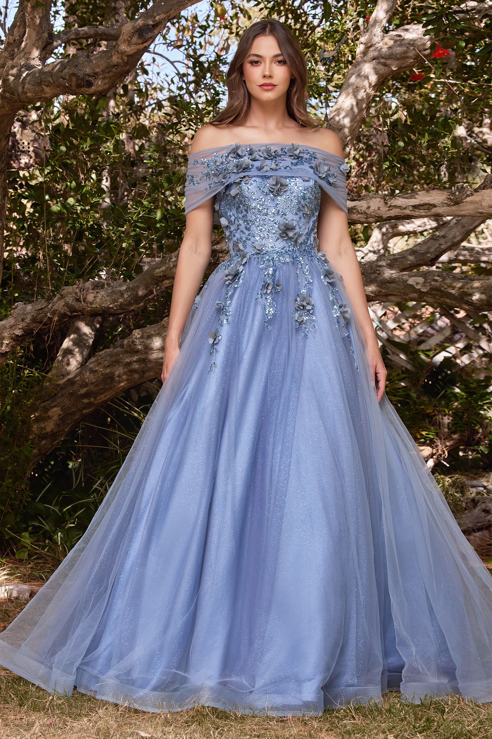 Evening dress in pale 2025 blue tulle with stole